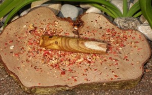 Essigbaum 300×188 Apfelbaum