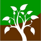 Logo Drechselkunst Biber 144