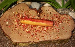 Zwetschge 300×188 Apfelbaum
